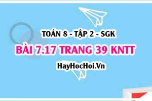 Bài 7.17 trang 39 Toán 8 Tập 2 Kết nối tri thức